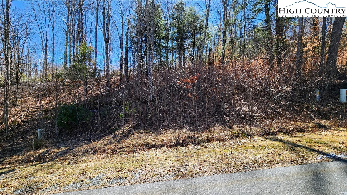 Image number 12 for the current listing