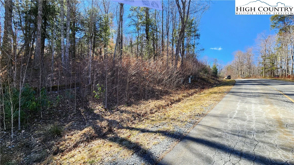 Image number 11 for the current listing