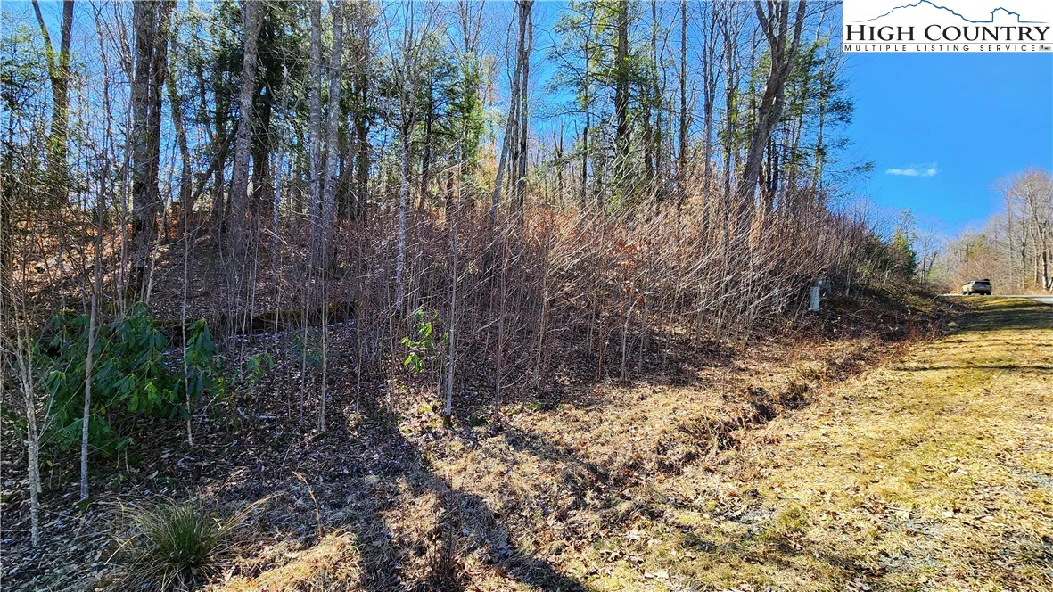 Image number 2 for the current listing