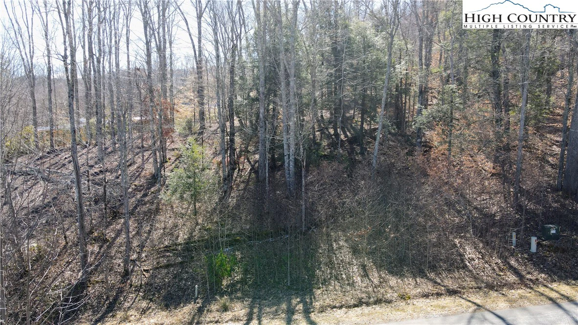 Image number 10 for the current listing