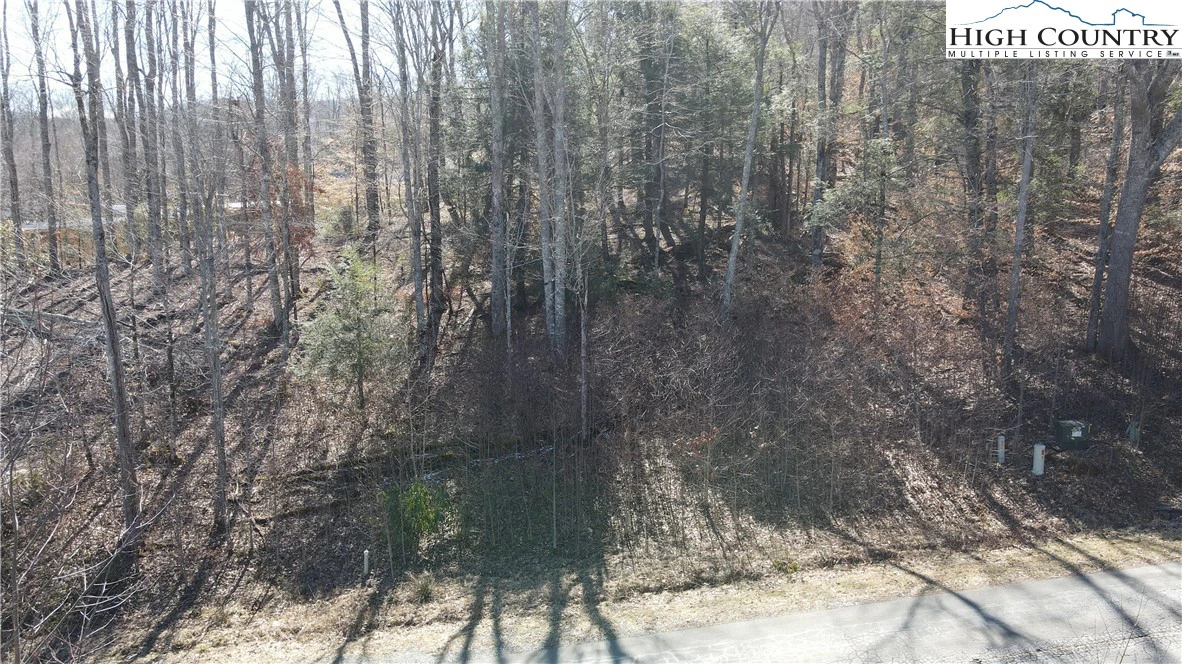 Image number 5 for the current listing