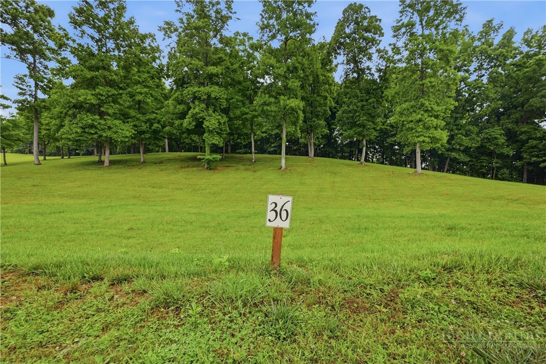 Image number 3 for the current listing