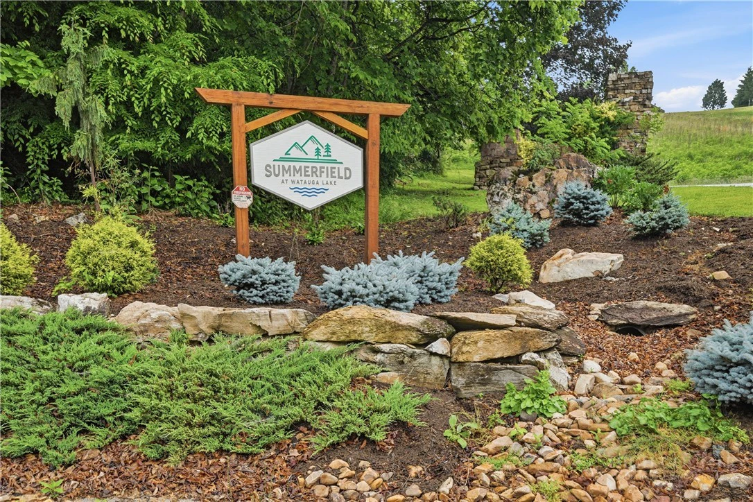 Image number 4 for the current listing