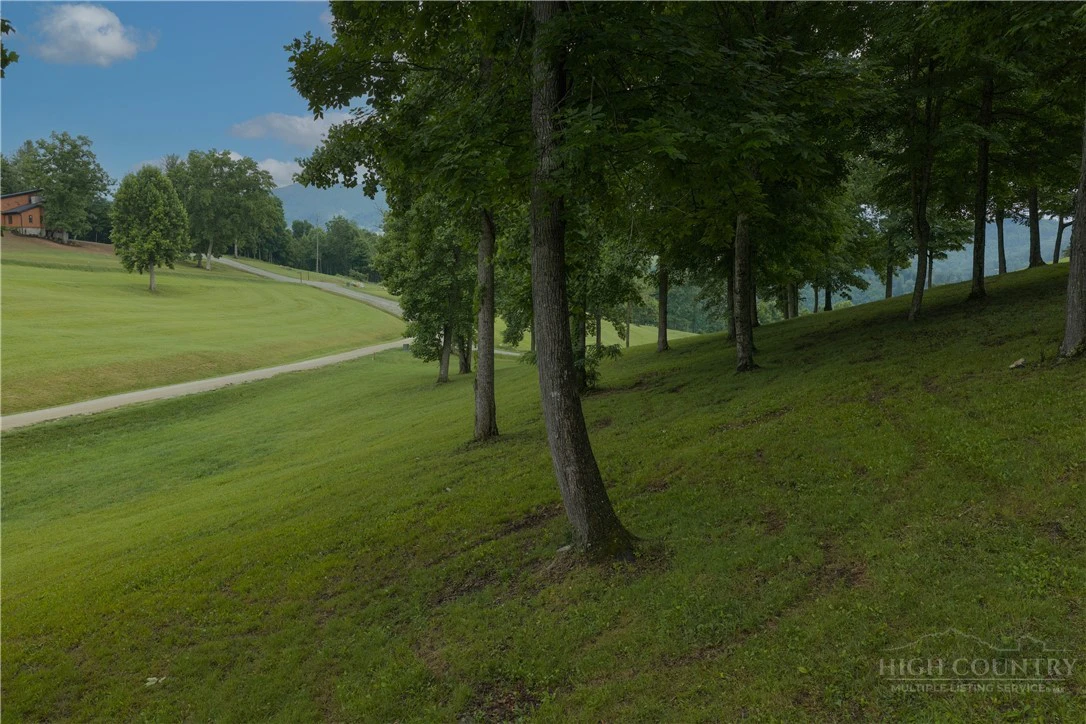 Image number 5 for the current listing