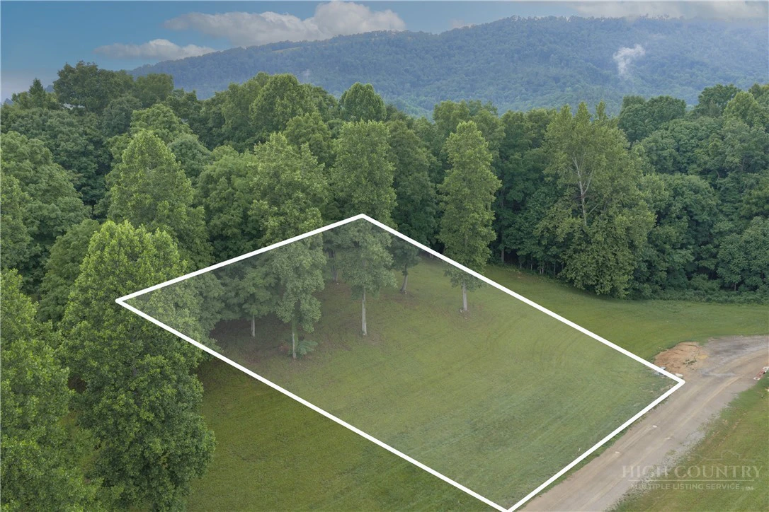 Image number 6 for the current listing