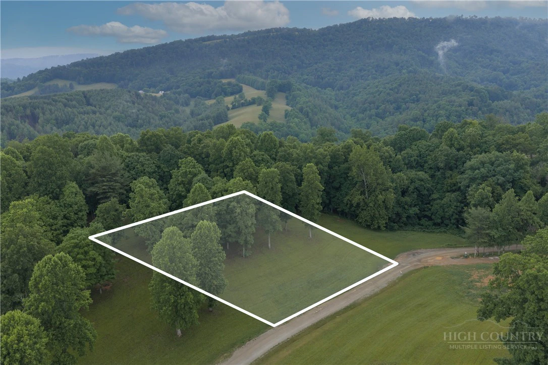 Image number 7 for the current listing