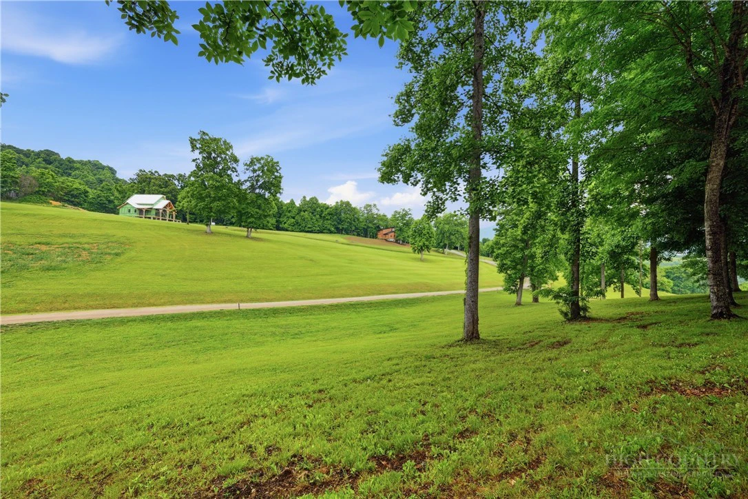 Image number 8 for the current listing