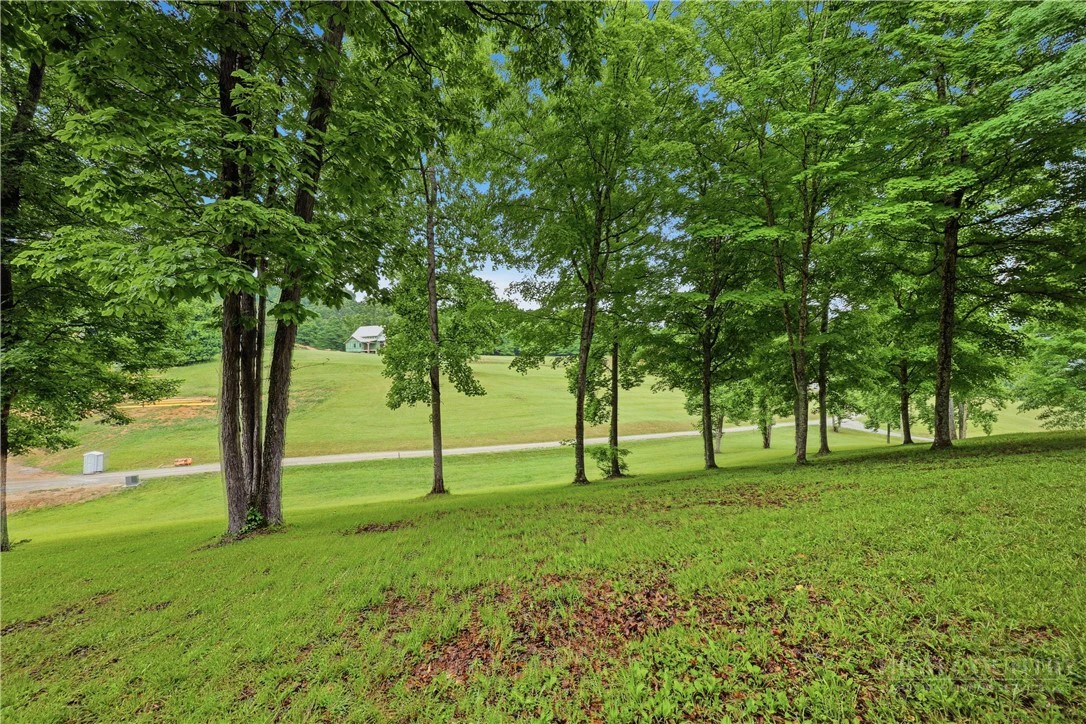 Image number 9 for the current listing