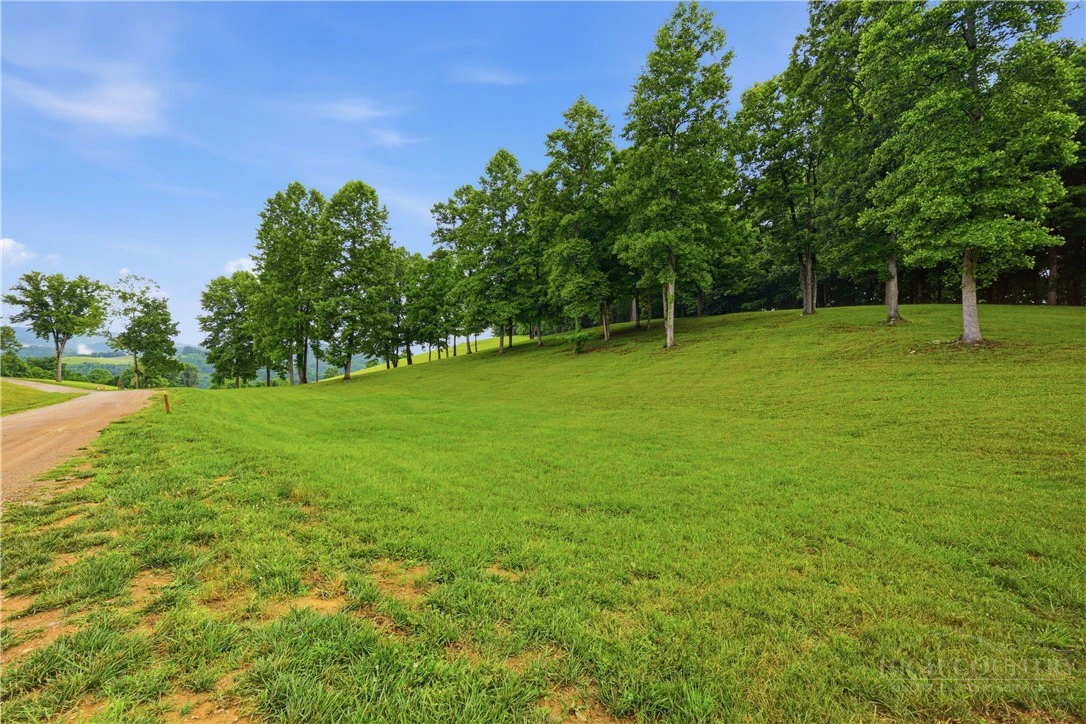 Image number 10 for the current listing