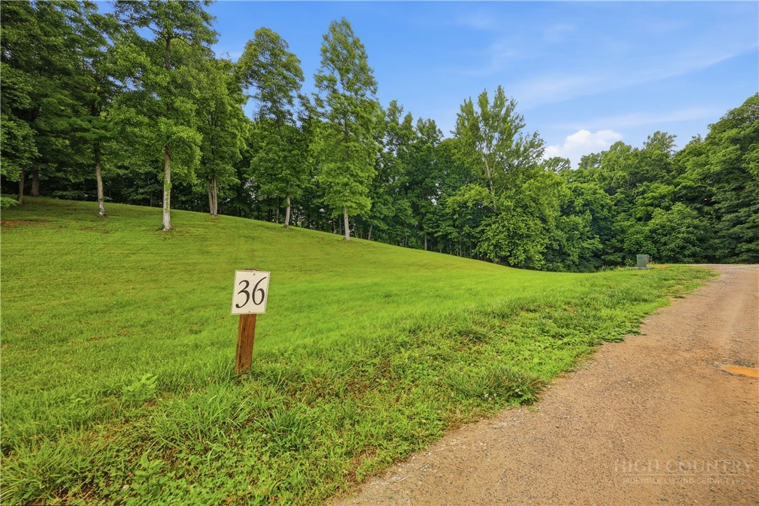 Image number 11 for the current listing