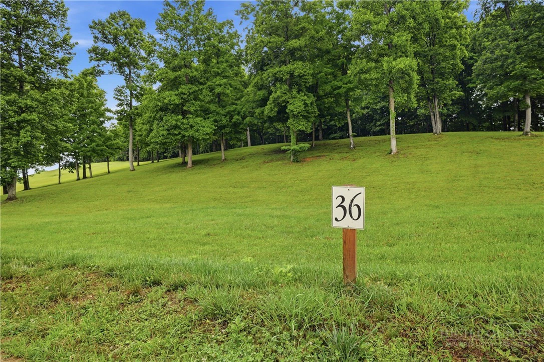 Image number 12 for the current listing