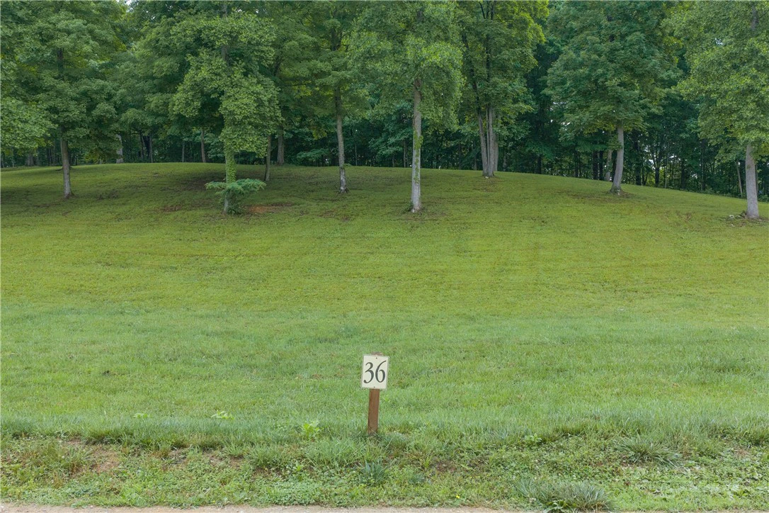Image number 13 for the current listing