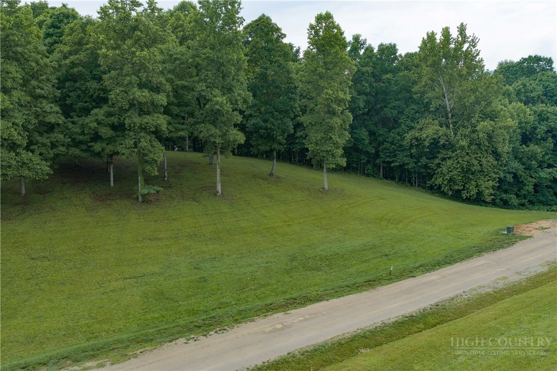 Image number 15 for the current listing