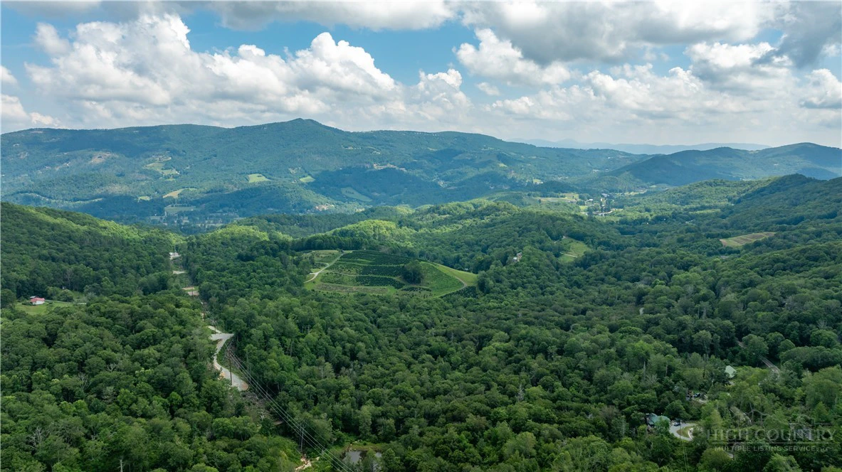 Image number 2 for the current listing