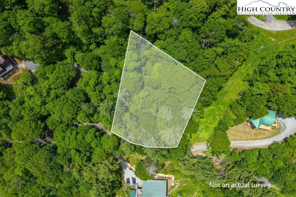 Image number 1 for the current listing