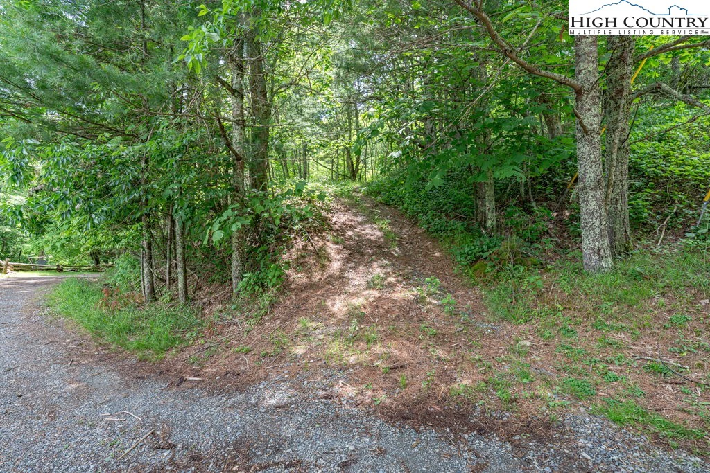 Image number 6 for the current listing