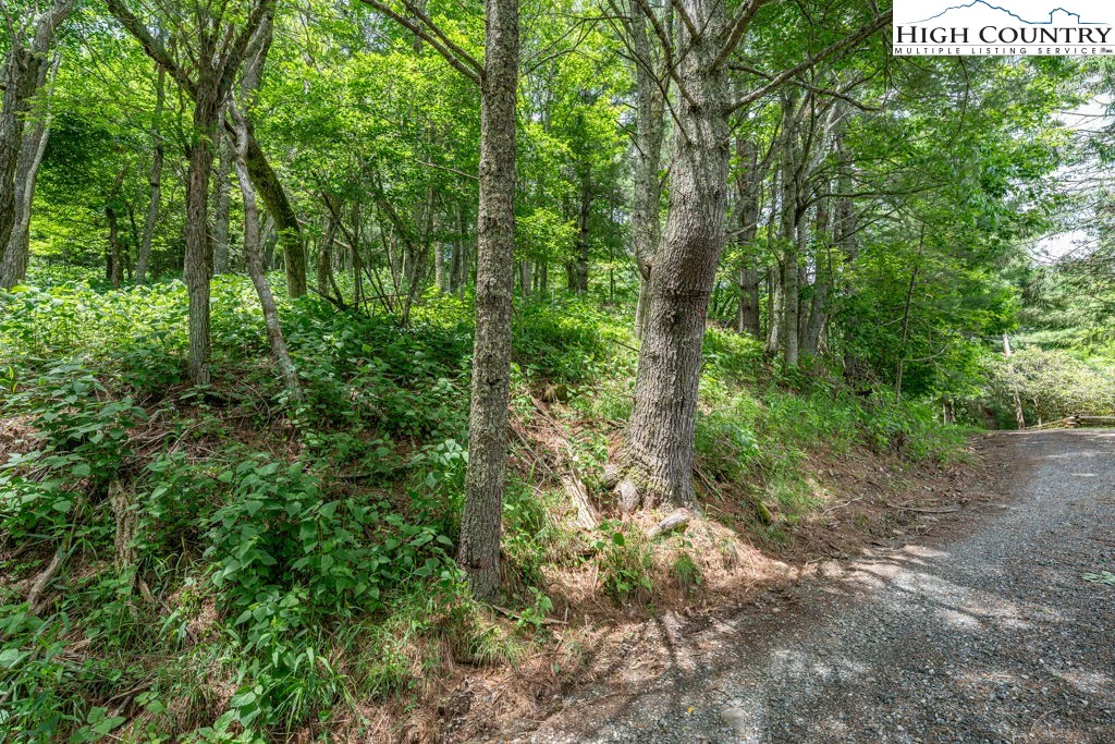 Image number 7 for the current listing