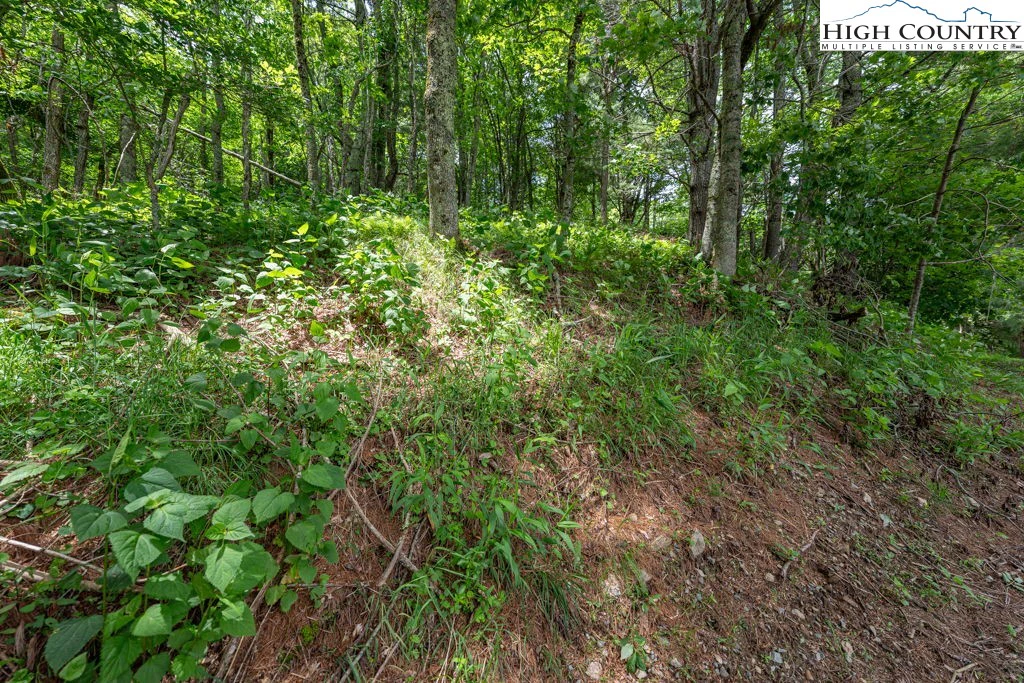 Image number 9 for the current listing