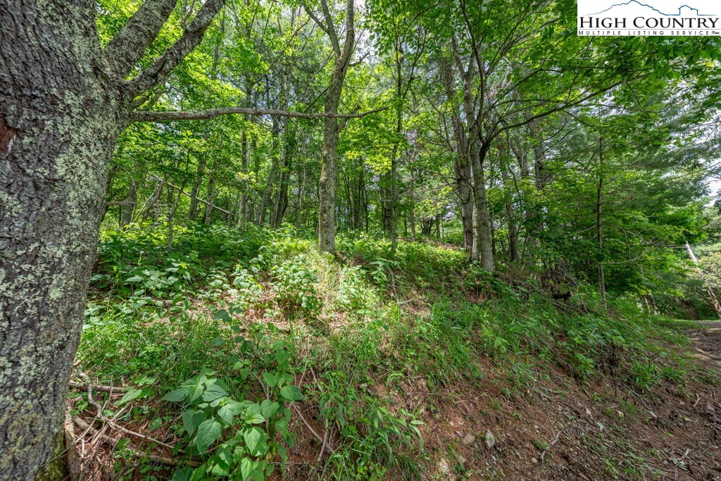 Image number 10 for the current listing