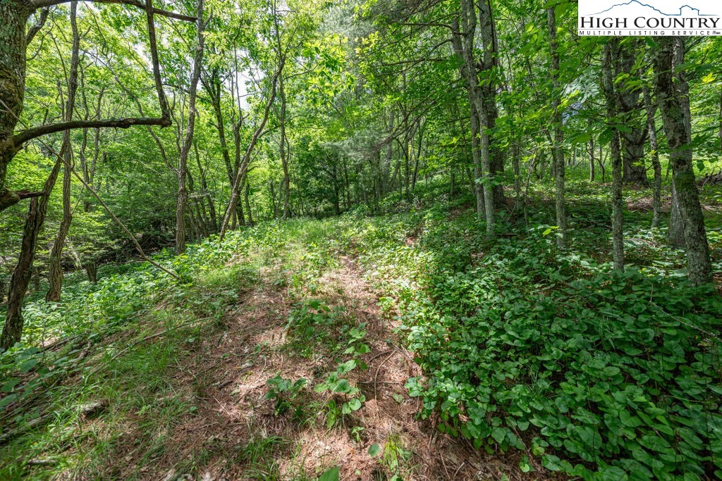 Image number 11 for the current listing