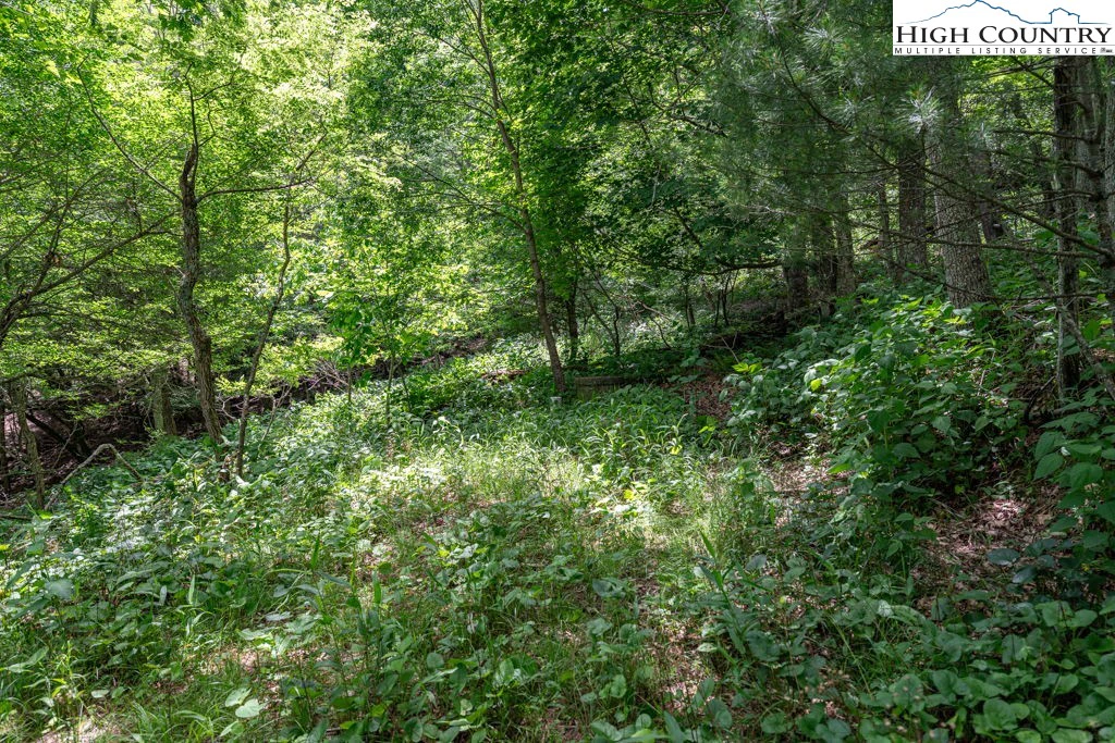 Image number 12 for the current listing