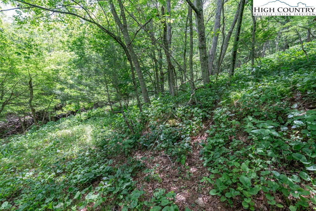 Image number 15 for the current listing
