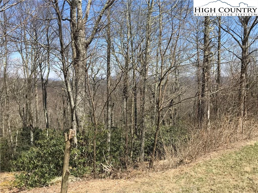 Image number 11 for the current listing