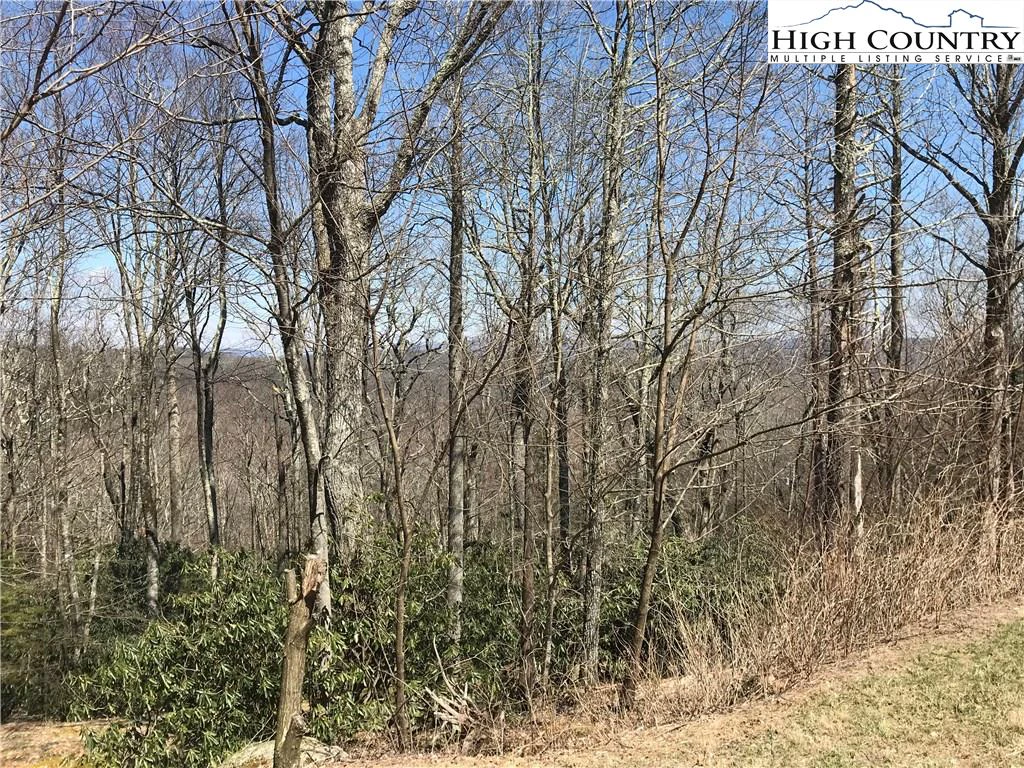 Image number 12 for the current listing