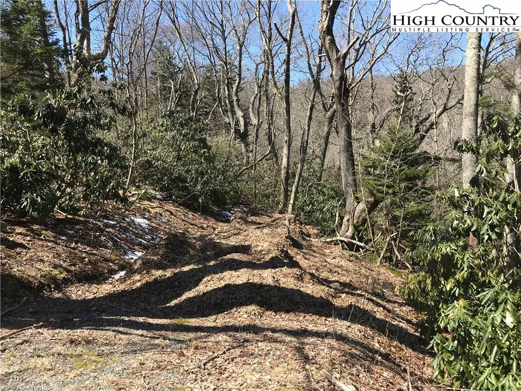 Image number 6 for the current listing