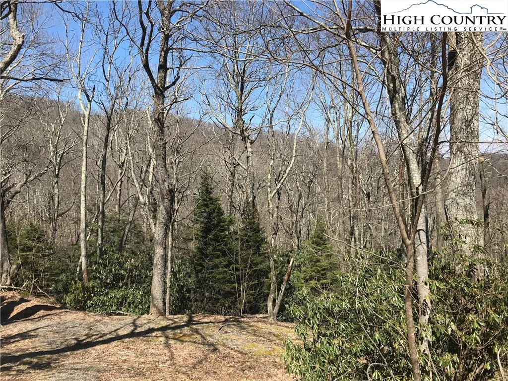 Image number 9 for the current listing