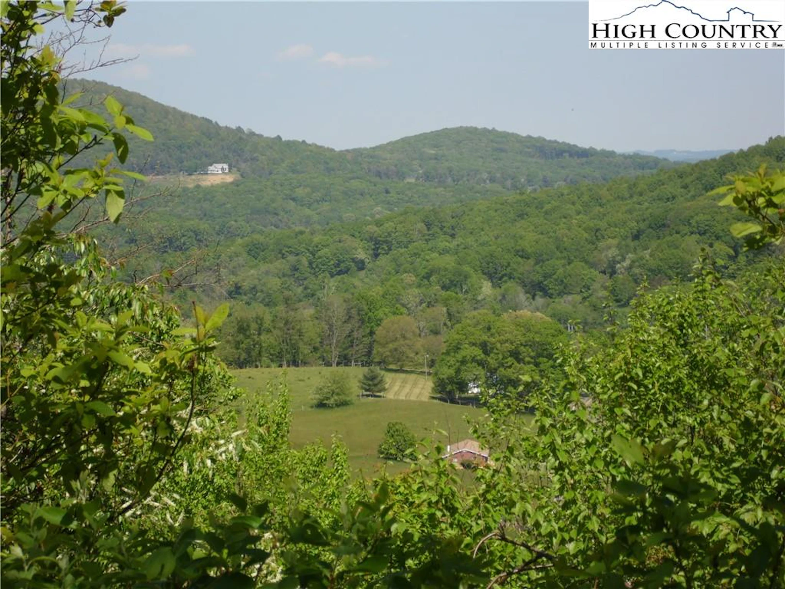 Image number 1 for the current listing