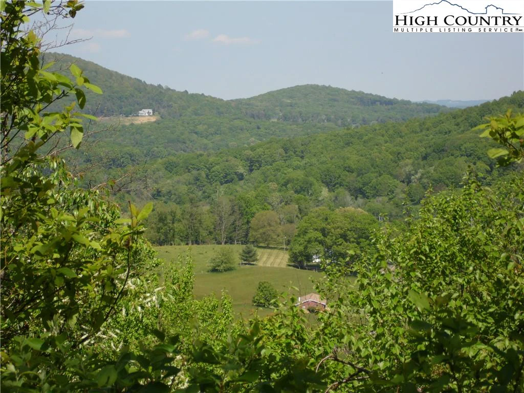 Image number 1 for the current listing