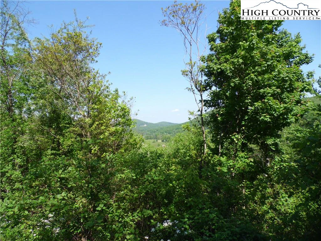Image number 11 for the current listing
