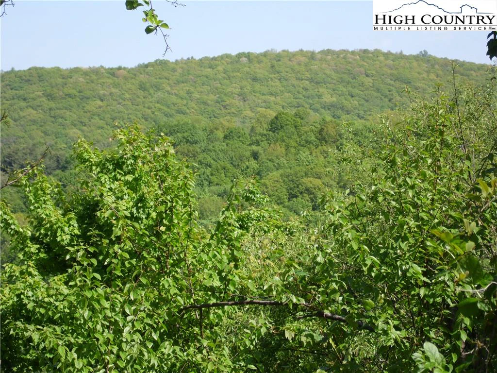 Image number 12 for the current listing