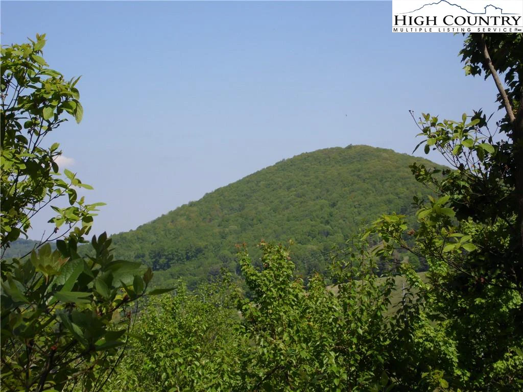 Image number 4 for the current listing