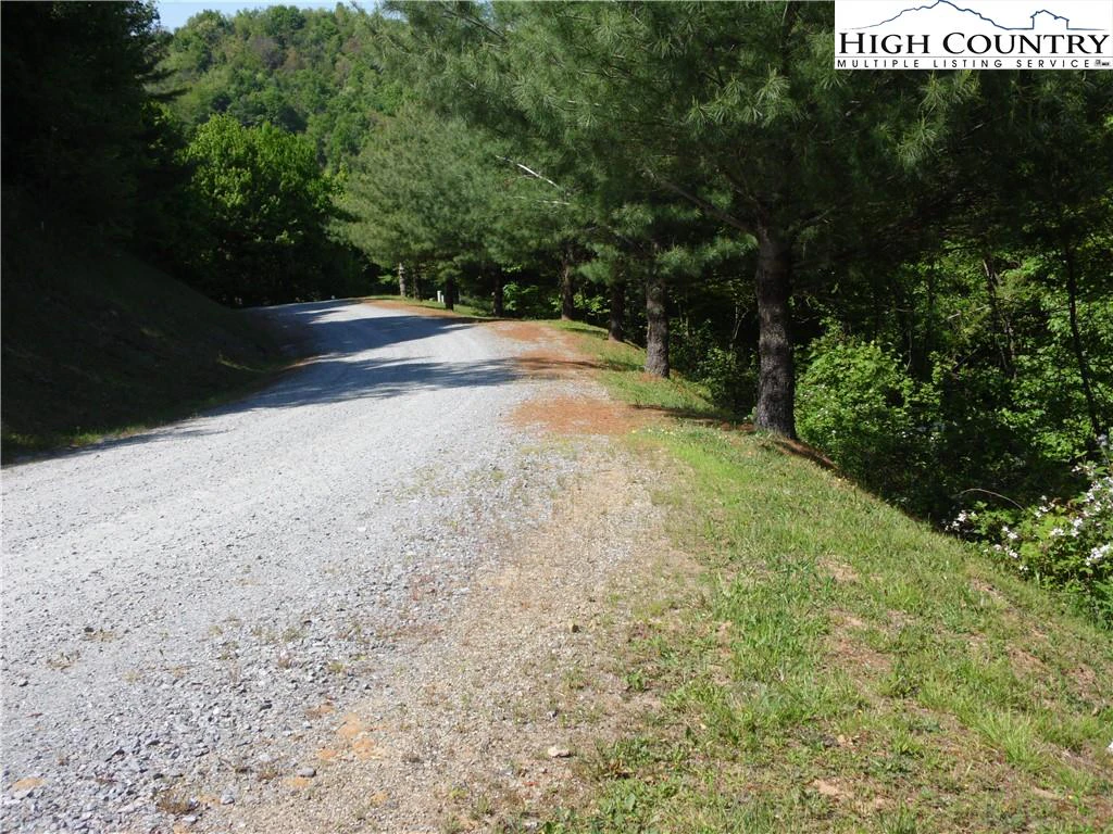 Image number 8 for the current listing