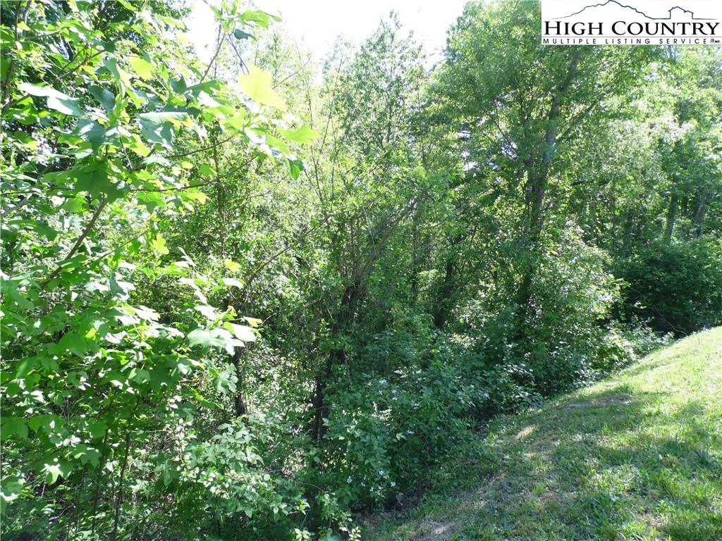 Image number 9 for the current listing