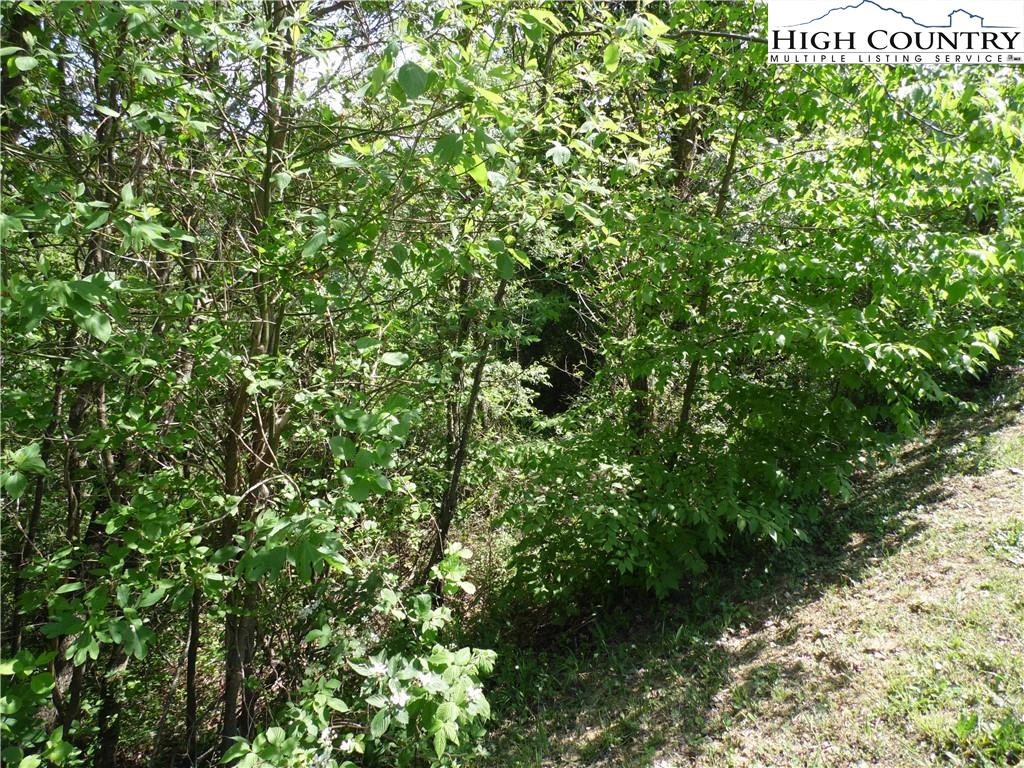 Image number 10 for the current listing