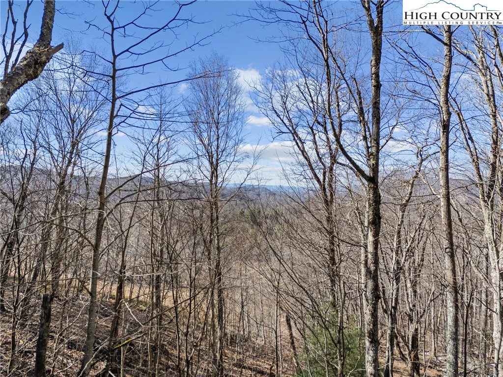 Image number 5 for the current listing