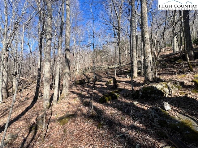 Image number 11 for the current listing