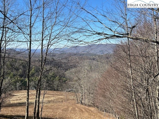 Image number 6 for the current listing