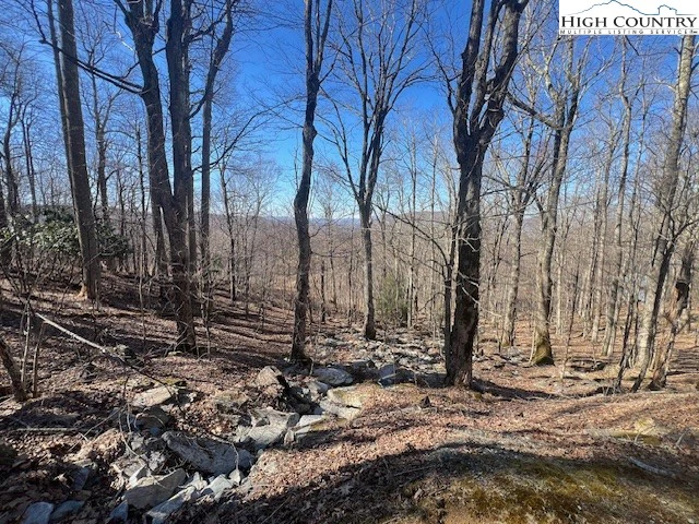 Image number 3 for the current listing