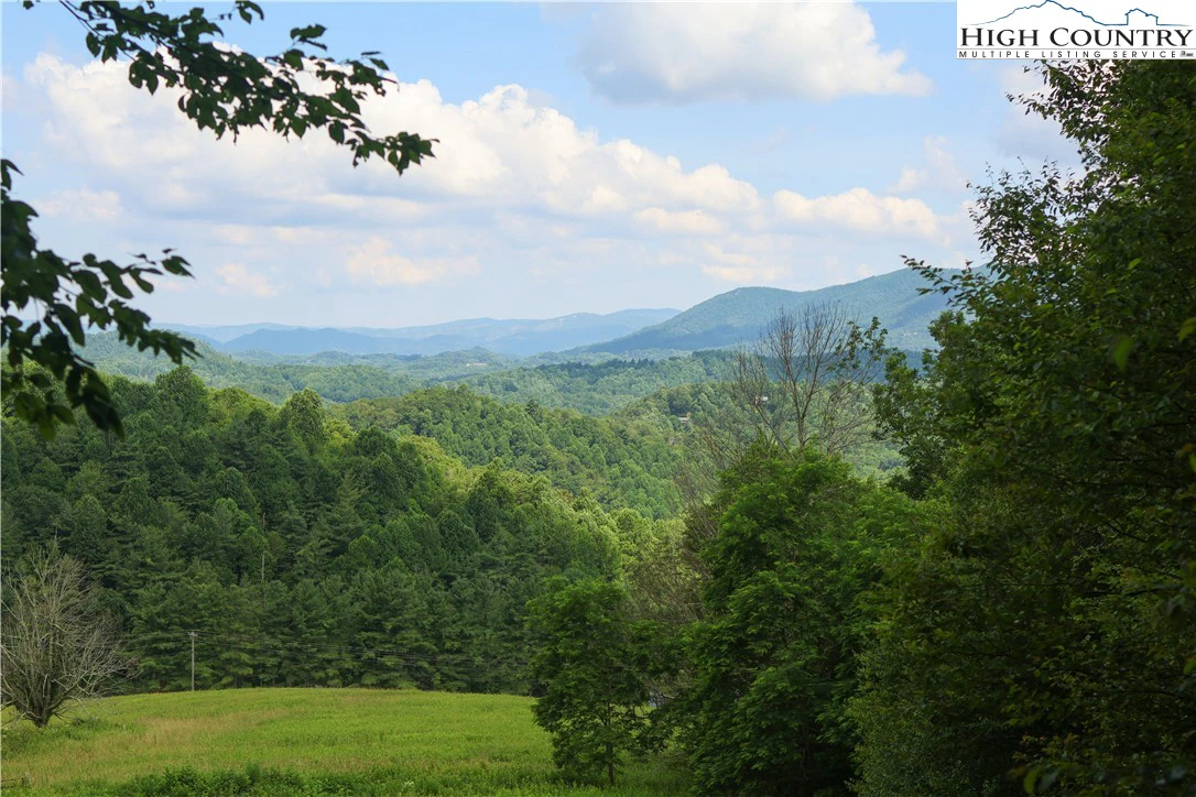 Image number 7 for the current listing