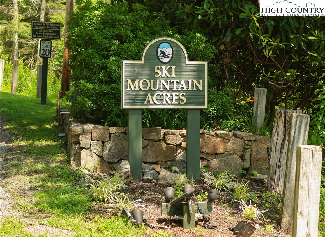 Image number 13 for the current listing