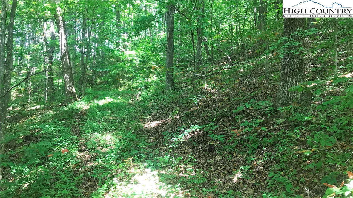 Image number 1 for the current listing