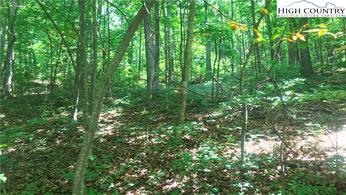 Image number 3 for the current listing