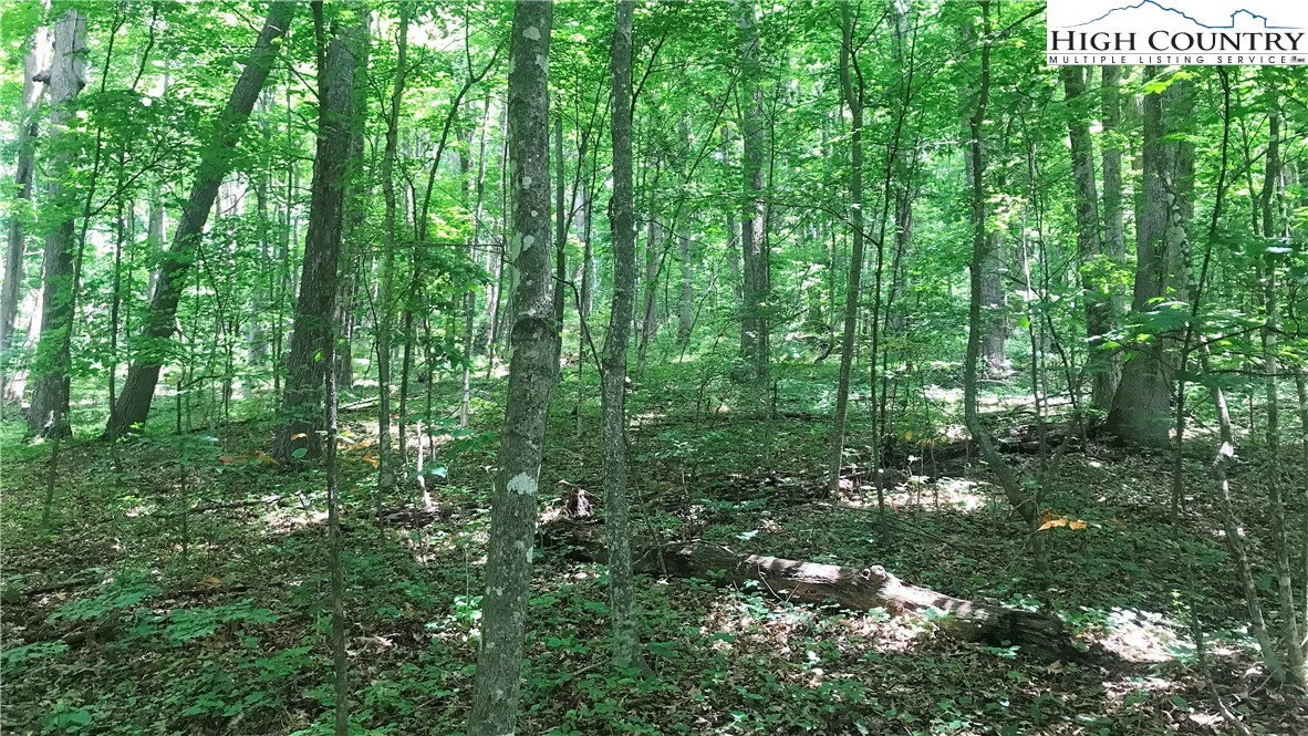 Image number 6 for the current listing