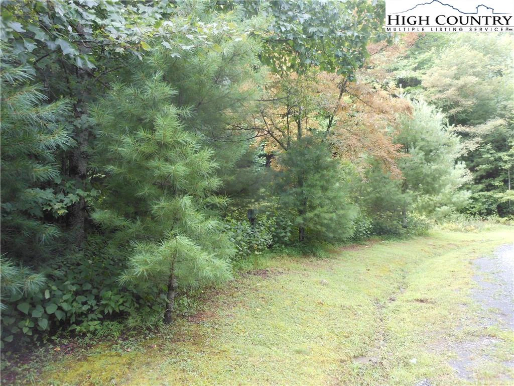 Image number 1 for the current listing