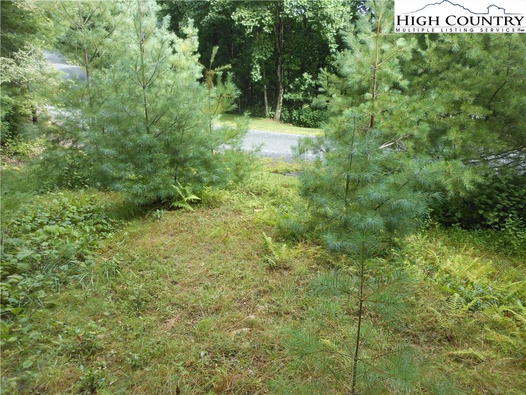 Image number 11 for the current listing
