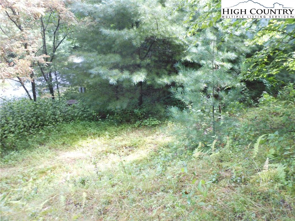 Image number 12 for the current listing